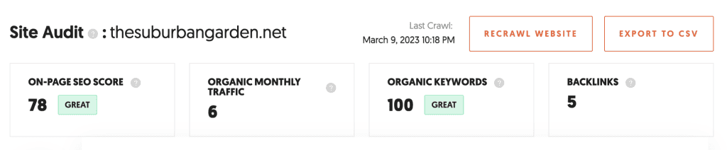 Ubersuggest blog growth statistics
on page seo score: 78 great, Organic monthly traffic:6, Organic keywords: 100 great, backlinks 5