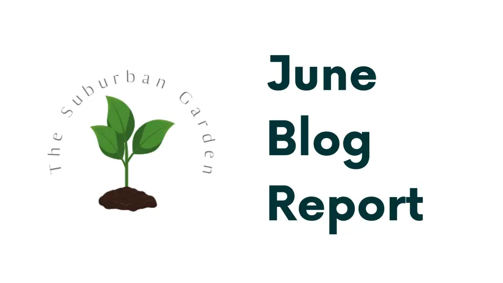 June Blog Growth Report for The Suburban Garden